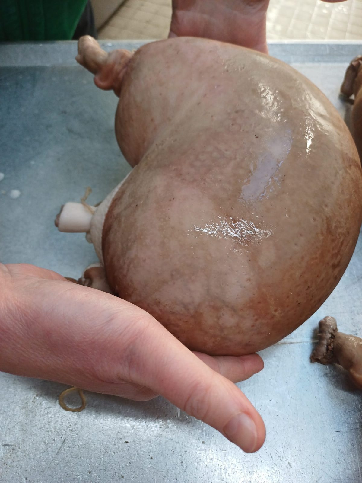 Wurst des Monats Januar